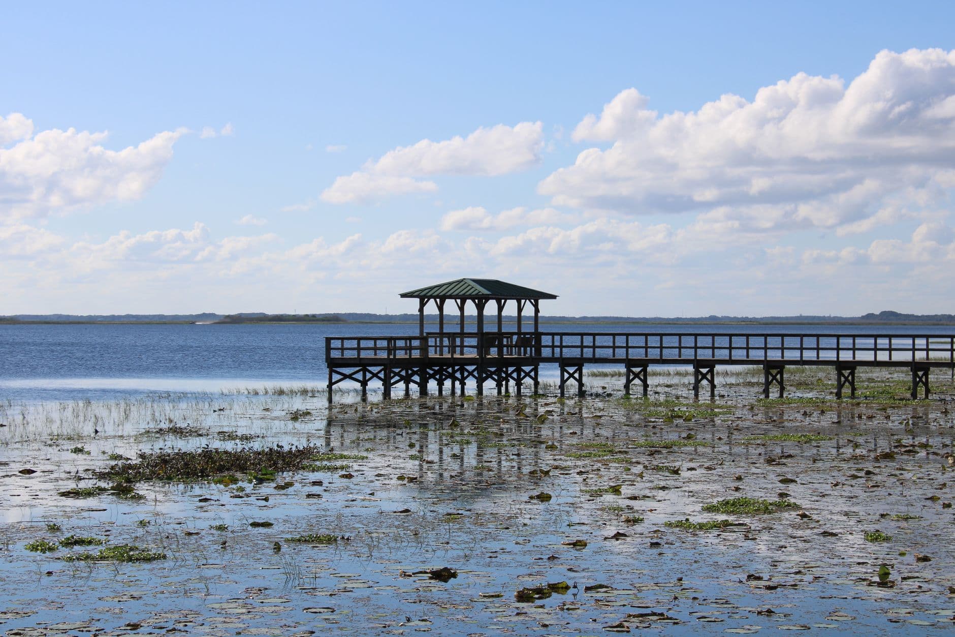 A picturesque wooden dock extends into a serene lake under a blue sky with fluffy clouds.
